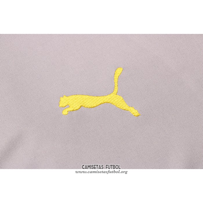Chandal de Sudadera del Borussia Dortmund 2021/2022 Gris
